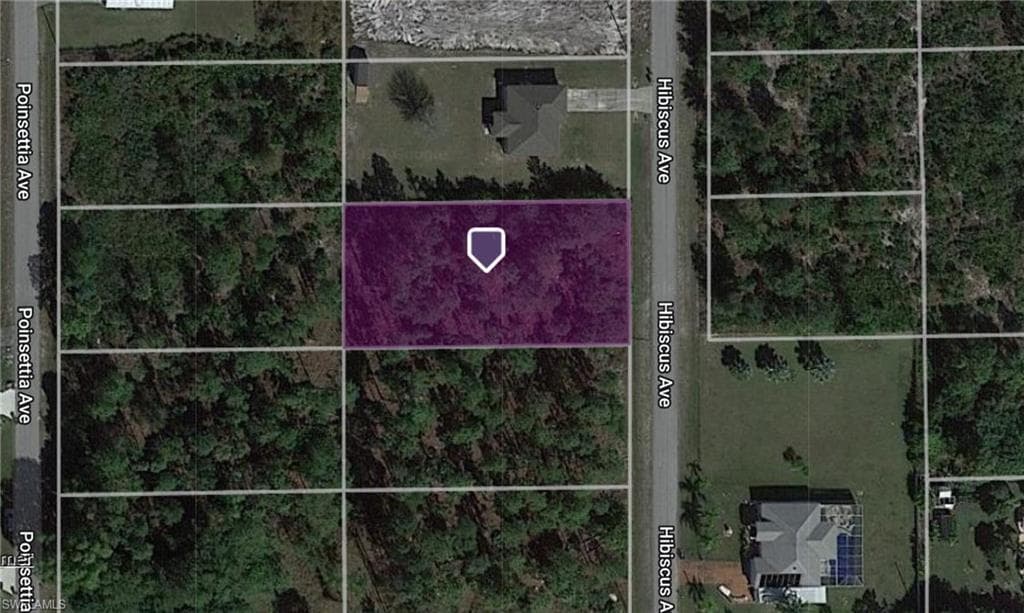 1007 Hibiscus AVE LEHIGH ACRES, FL 33972