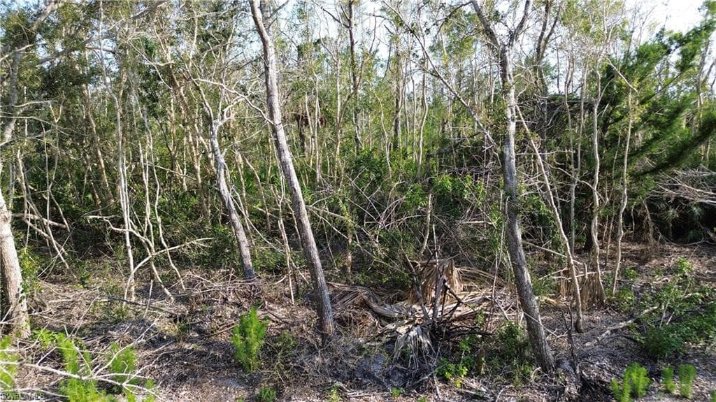 Access Undetermined BOKEELIA, FL 33922