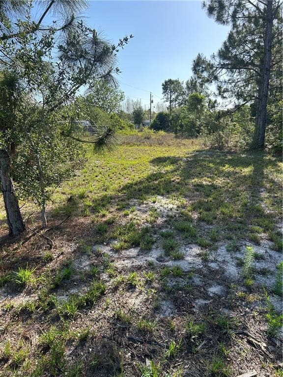 3918 Lee BLVD LEHIGH ACRES, FL 33971