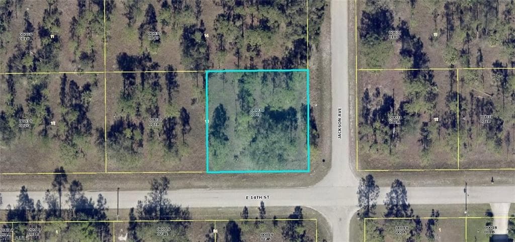 2807 E 14th ST LEHIGH ACRES, FL 33972