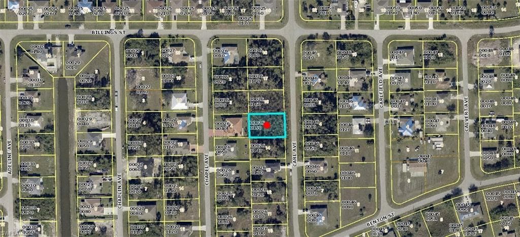 1119 Carl AVE LEHIGH ACRES, FL 33971