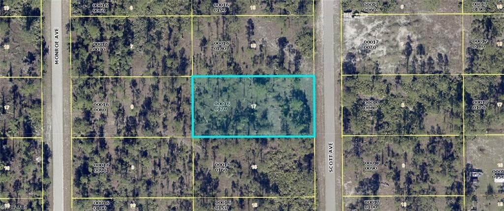 1309 Scott AVE LEHIGH ACRES, FL 33972