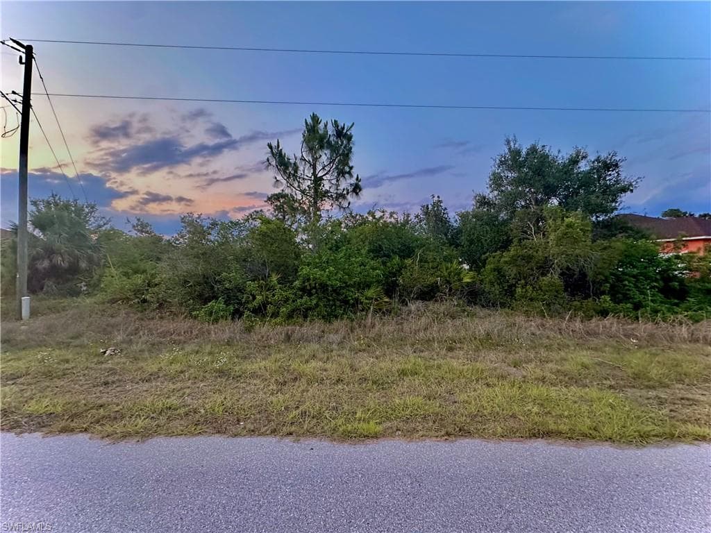 376 Wilkins ST LEHIGH ACRES, FL 33972