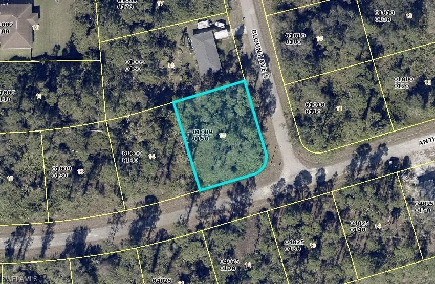 933 Anthony ST E LEHIGH ACRES, FL 33974