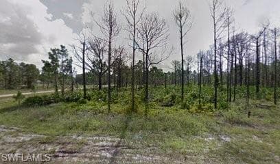 843 Downer AVE S LEHIGH ACRES, FL 33974