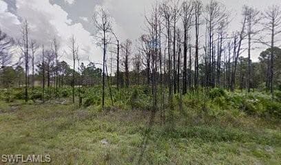 845 Downer AVE S LEHIGH ACRES, FL 33974