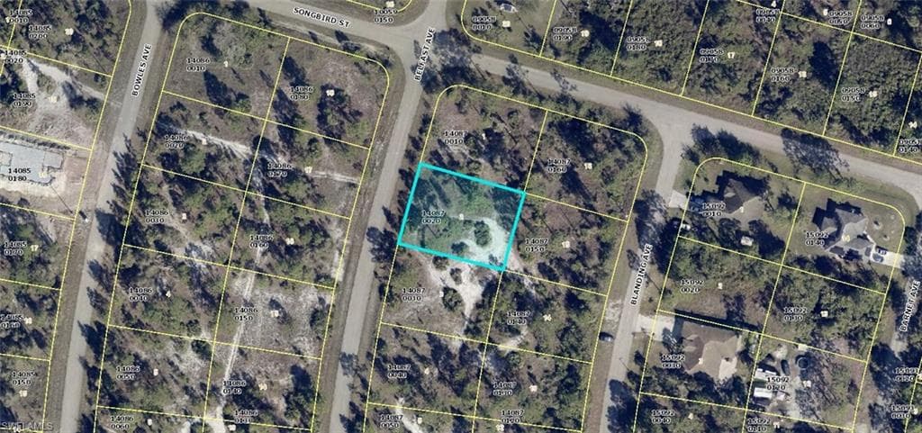1251 Belfast AVE FORT MYERS, FL 33913