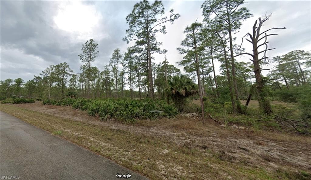 1319 Michael AVE LEHIGH ACRES, FL 33972