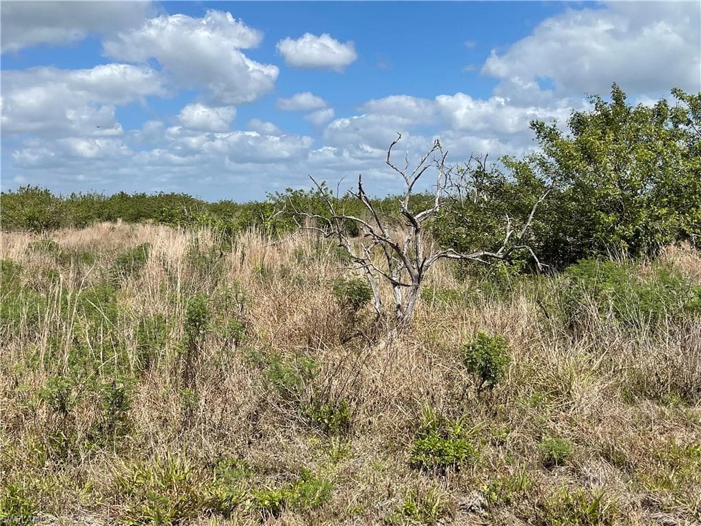 1st RD LABELLE, FL 33935