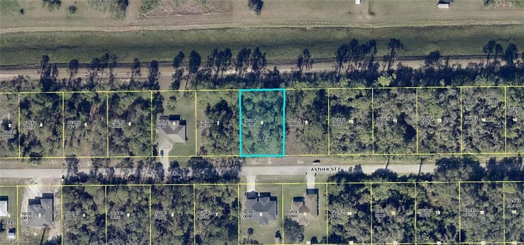 1017 Asther ST E LEHIGH ACRES, FL 33974