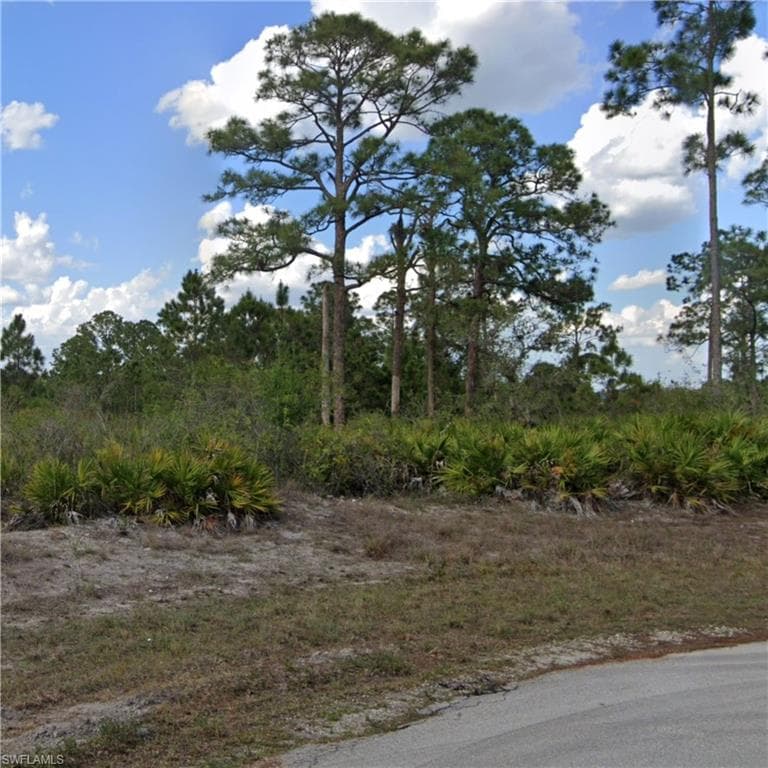 1099 Darlington ST LEHIGH ACRES, FL 33974