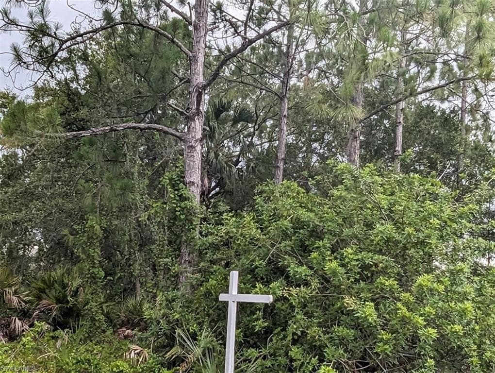 3007 49th ST W LEHIGH ACRES, FL 33971
