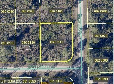 1149 Chiefland ST E LEHIGH ACRES, FL 33974