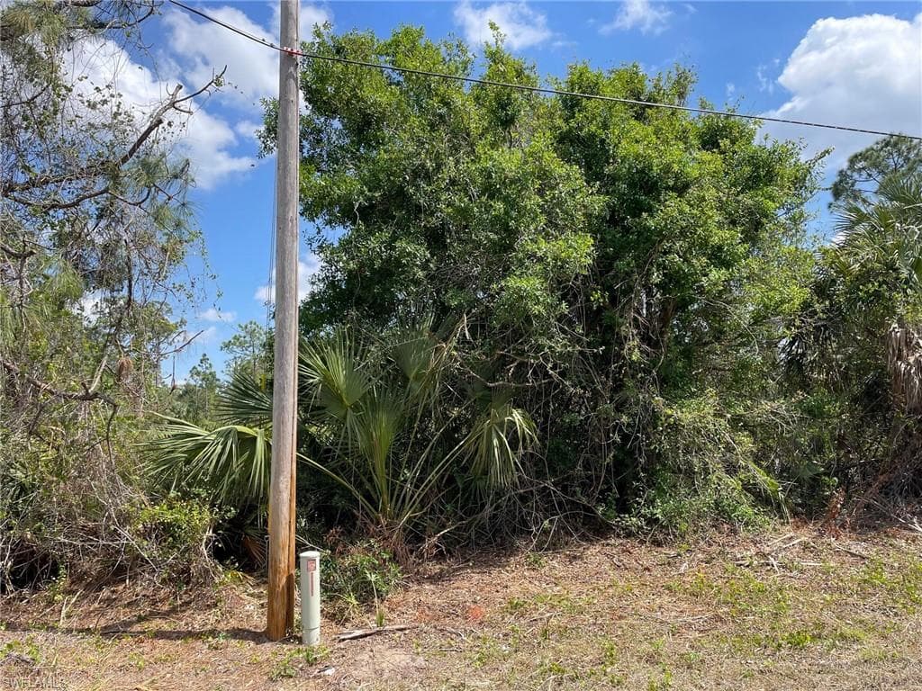313 Columbus BLVD S LEHIGH ACRES, FL 33974