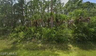 12239 Chamberlain BLVD PORT CHARLOTTE, FL 33953