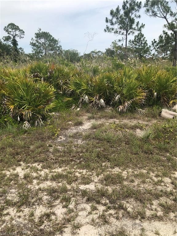 1611 McKinley AVE LEHIGH ACRES, FL 33972