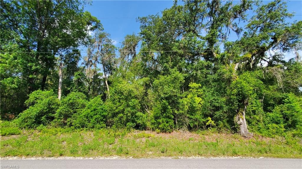 8001 Shasta ST WEBSTER, FL 33597