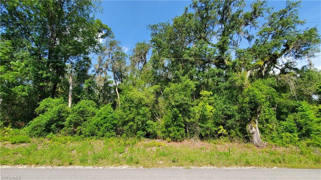 7491 Shasta ST WEBSTER, FL 33597