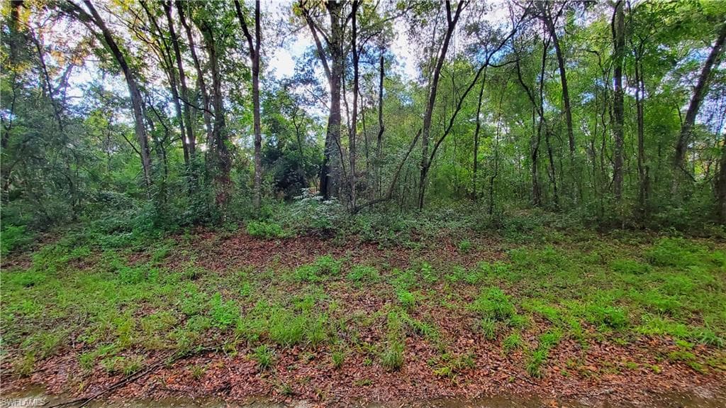 7153 Kenyon DR WEBSTER, FL 33597