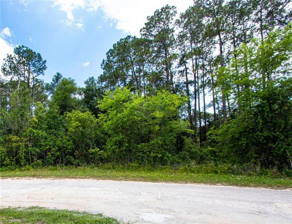 34160 Haas DR WEBSTER, FL 33597