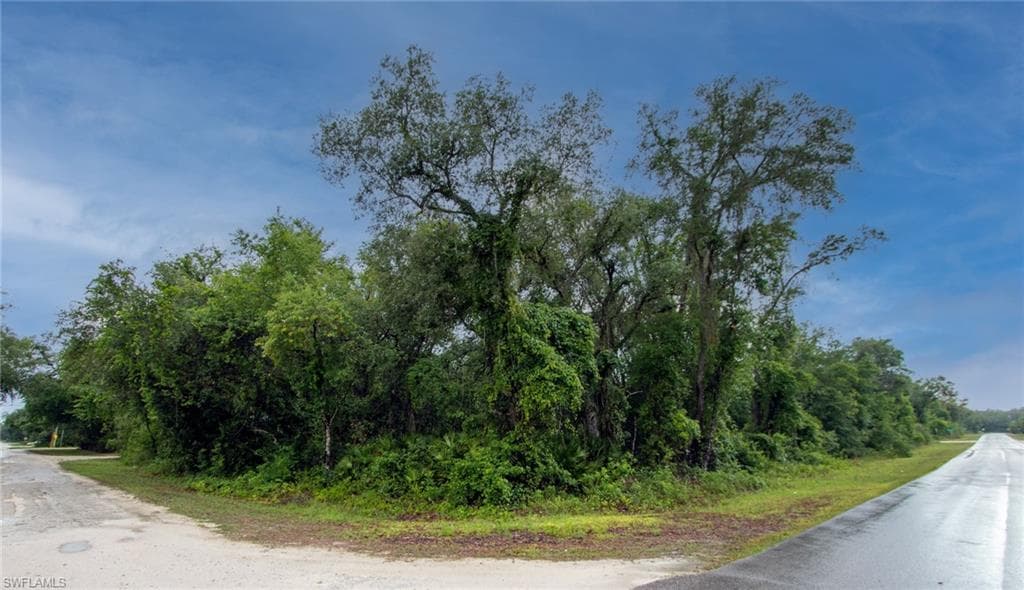 9315 Ancon AVE WEBSTER, FL 33597