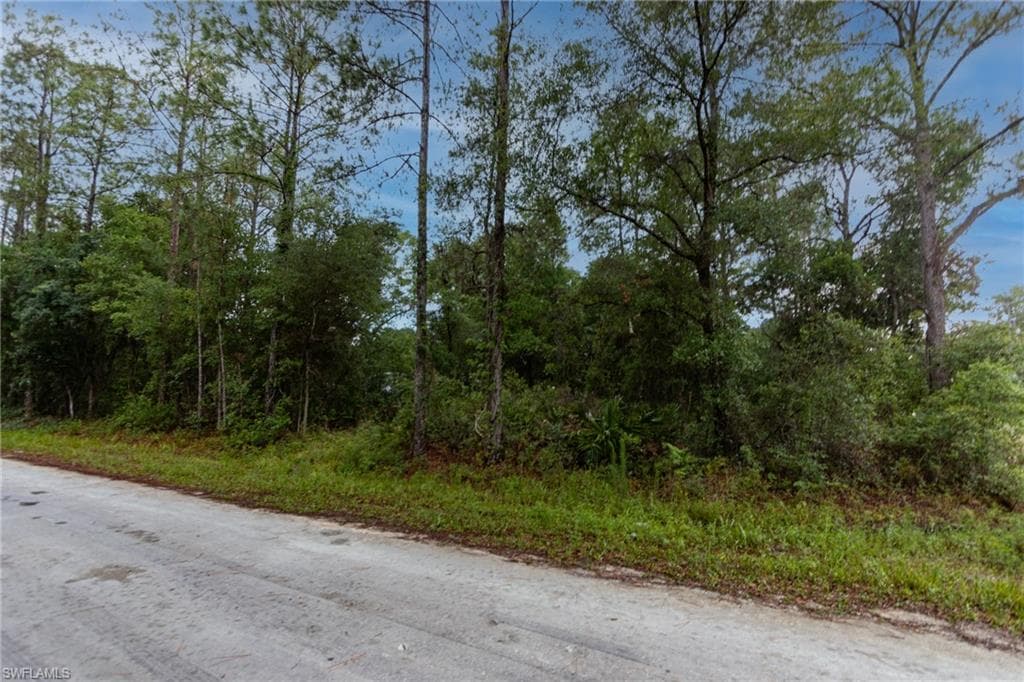 35360 Goethals ST WEBSTER, FL 33597