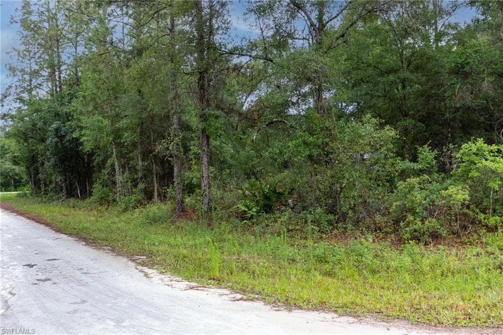9113 Garetta AVE WEBSTER, FL 33597