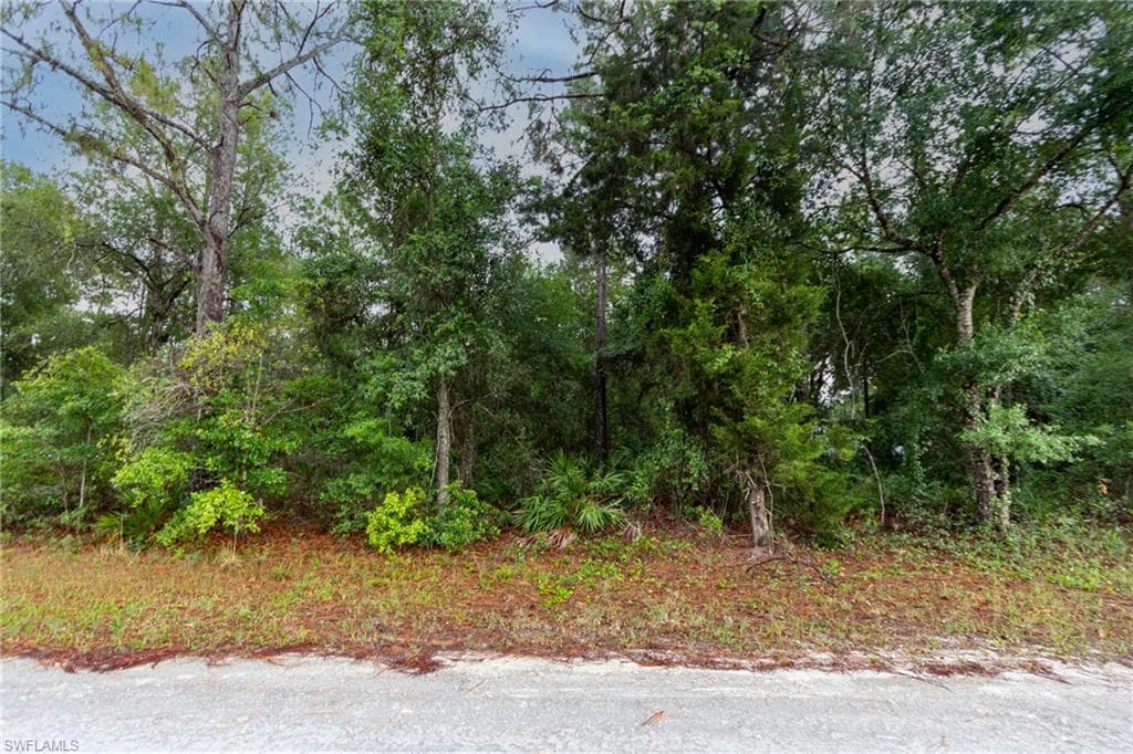 35318 Goolsby ST WEBSTER, FL 33597
