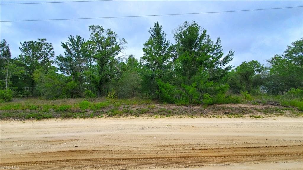 5391 W Osmond LN DUNNELLON, FL 34433