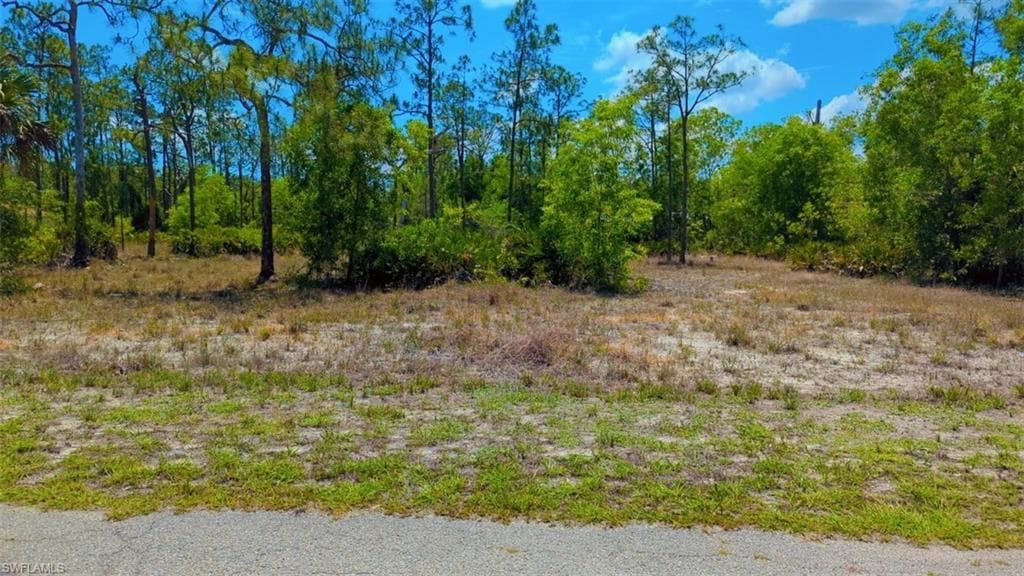 205 Johns AVE LEHIGH ACRES, FL 33936