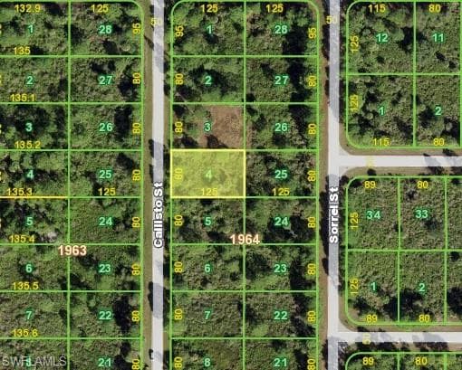 3262 Callisto ST PORT CHARLOTTE, FL 33981