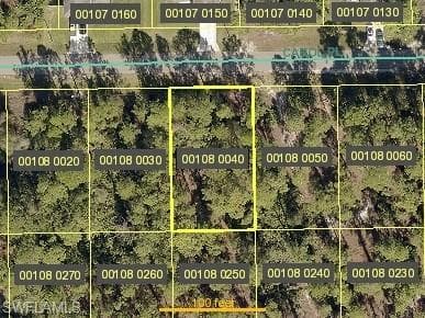 2617 Carol PL LEHIGH ACRES, FL 33971