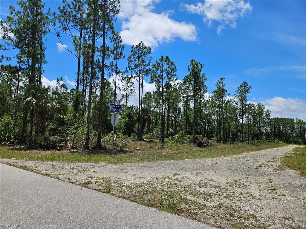 209 Nansen AVE S LEHIGH ACRES, FL 33974