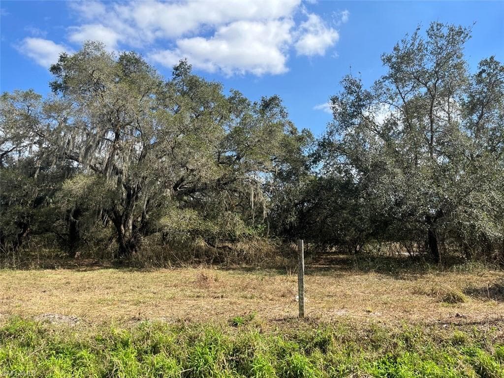 545 N Arboleda ST CLEWISTON, FL 33440