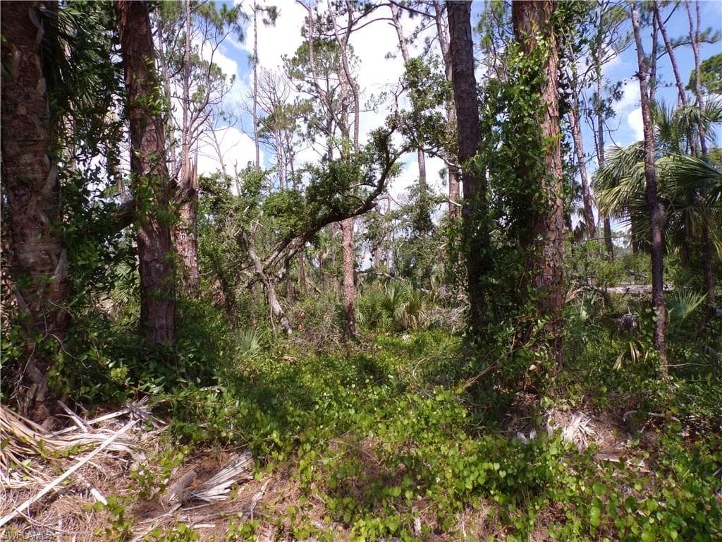 387 McDill DR PORT CHARLOTTE, FL 33953
