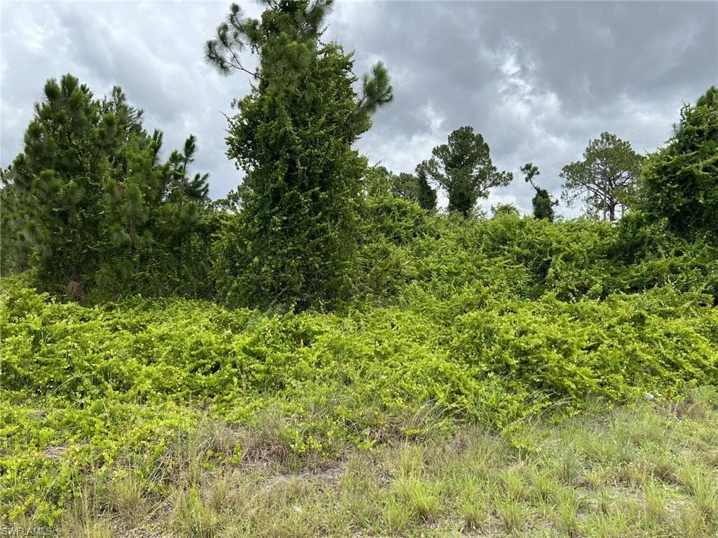 58 Curtis AVE S LEHIGH ACRES, FL 33976