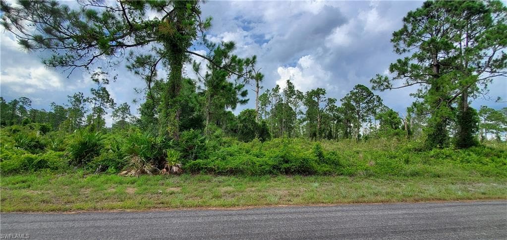 1065 Manning ST E LEHIGH ACRES, FL 33974