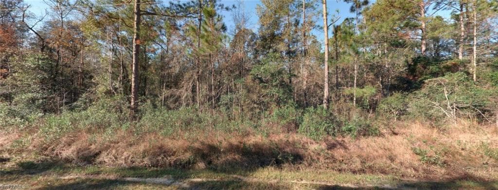 10435 CARPENTER AVE HASTINGS, FL 32145