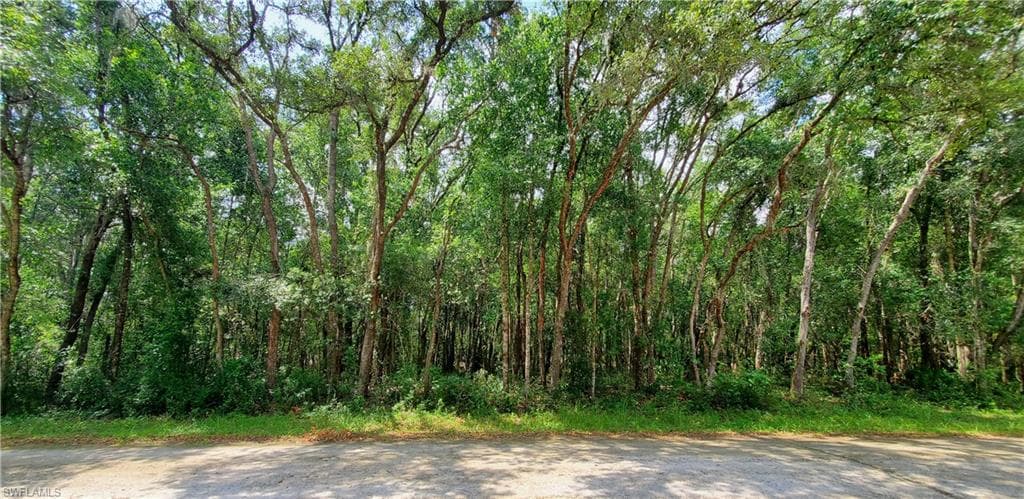 7133 N Canal ST WEBSTER, FL 33597