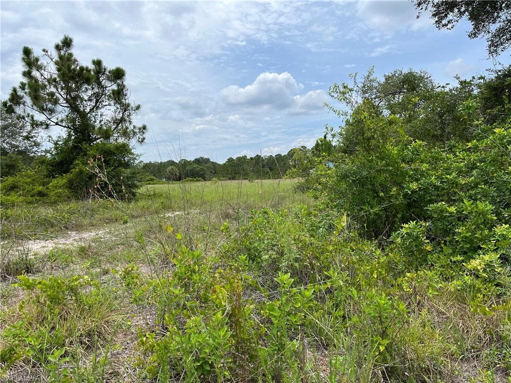 1409 Leroy AVE LEHIGH ACRES, FL 33972
