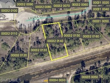3011 Laura CT LEHIGH ACRES, FL 33971