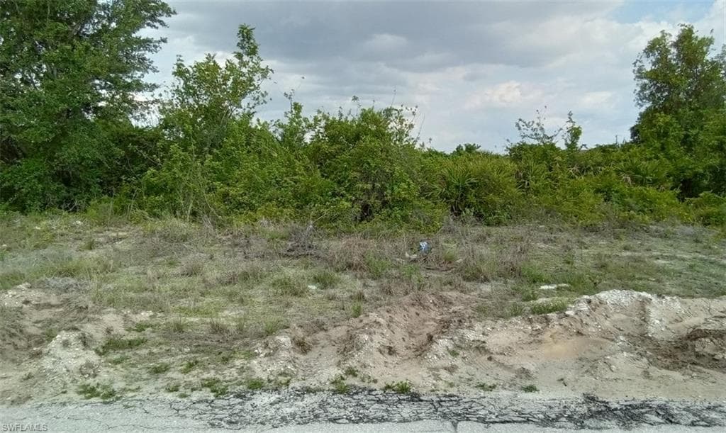336 Pembroke ST LEHIGH ACRES, FL 33974