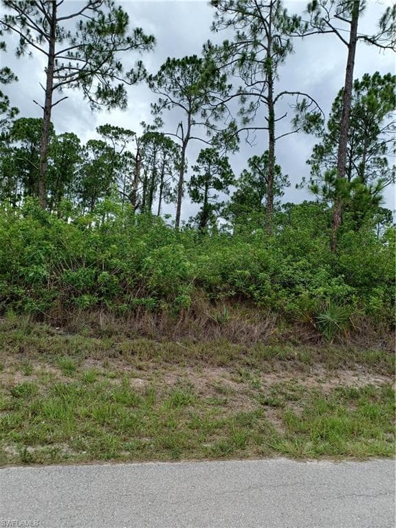 915 Hines AVE LEHIGH ACRES, FL 33972