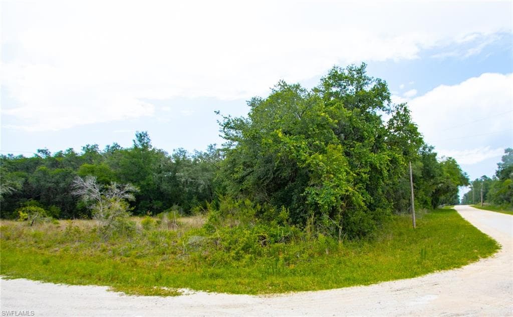 0 Alloy ST WEBSTER, FL 33597