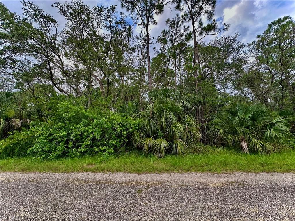 1939 Roderick LN LEHIGH ACRES, FL 33972