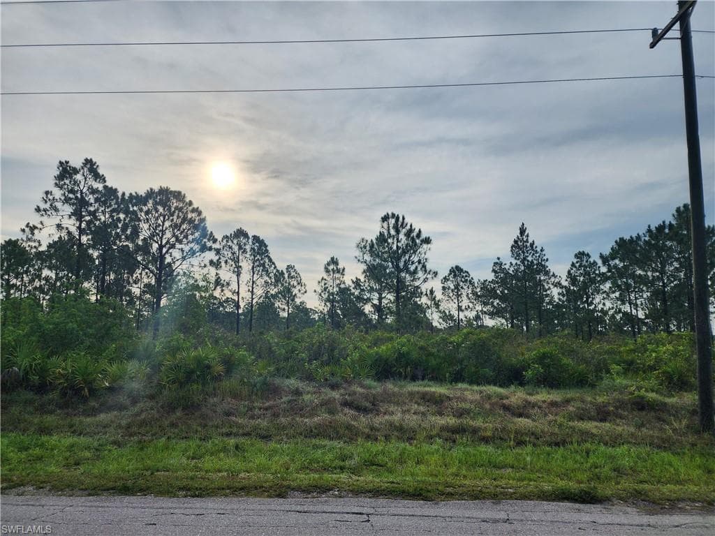 316 Moore AVE LEHIGH ACRES, FL 33936