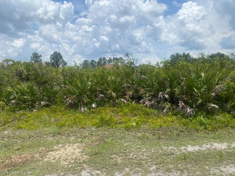6004 Flora AVE N LEHIGH ACRES, FL 33971