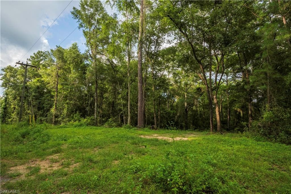 NE Blue Springs Church RD MADISON, FL 32059