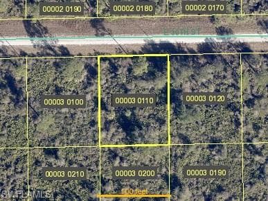 4222 E 30th ST ALVA, FL 33920