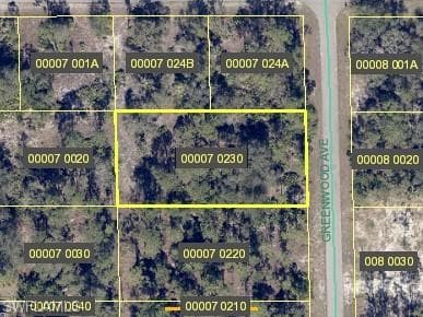 1621 Greenwood AVE LEHIGH ACRES, FL 33972